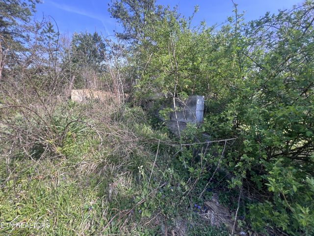 554 Mary Cromwell Rd, Jamestown, TN 38556