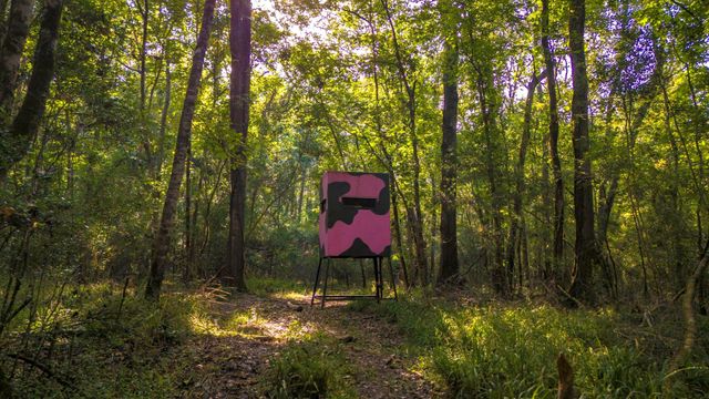 TBD Garner Rd, Goodrich, TX 77335