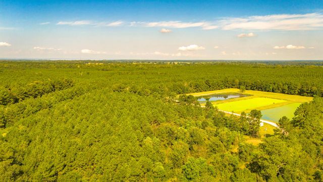 TBD Garner Rd, Goodrich, TX 77335