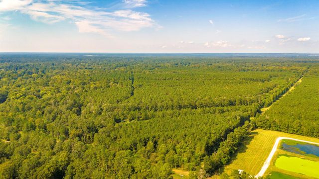 TBD Garner Rd, Goodrich, TX 77335