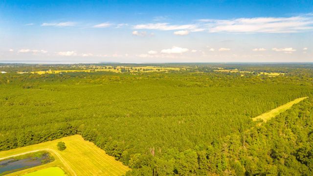 TBD Garner Rd, Goodrich, TX 77335