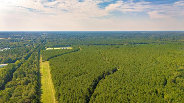 TBD Garner Rd, Goodrich, TX 77335