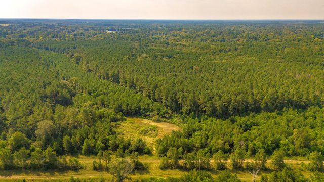 TBD Garner Rd, Goodrich, TX 77335