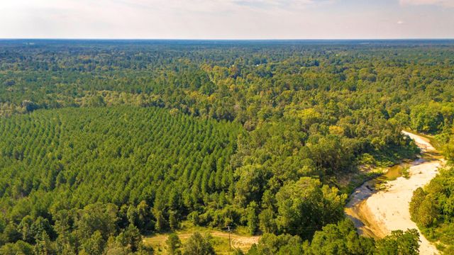 TBD Garner Rd, Goodrich, TX 77335