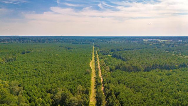 TBD Garner Rd, Goodrich, TX 77335