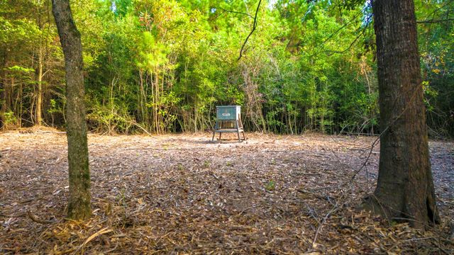 TBD Garner Rd, Goodrich, TX 77335