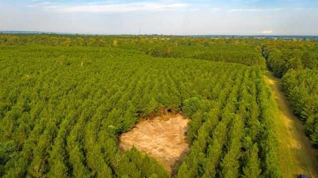 TBD Garner Rd, Goodrich, TX 77335