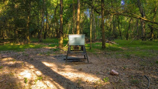 TBD Garner Rd, Goodrich, TX 77335