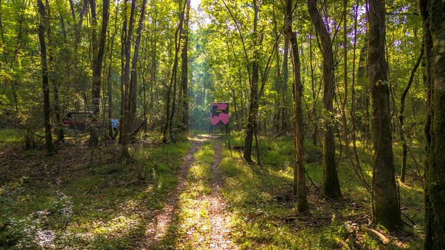 TBD Garner Rd, Goodrich, TX 77335