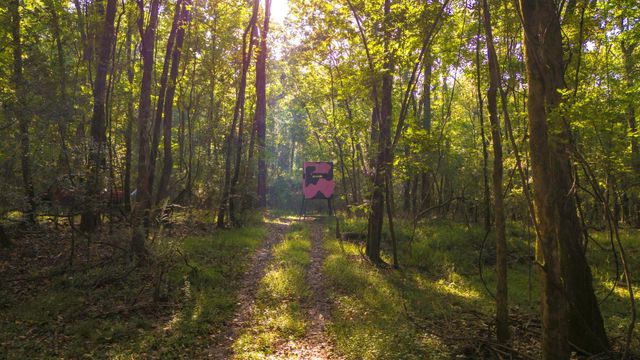 TBD Garner Rd, Goodrich, TX 77335