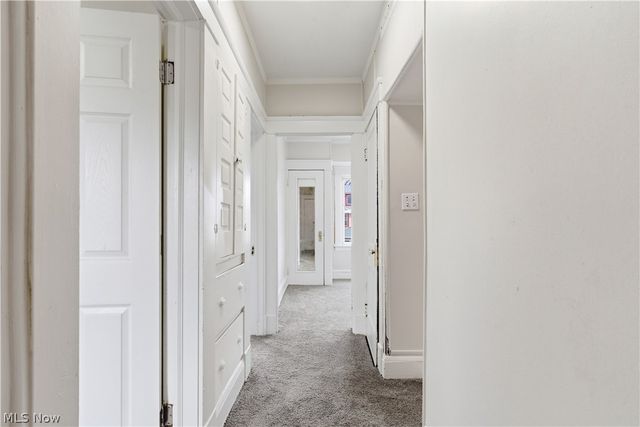 4259 E 131st Street, Cleveland, OH 44105