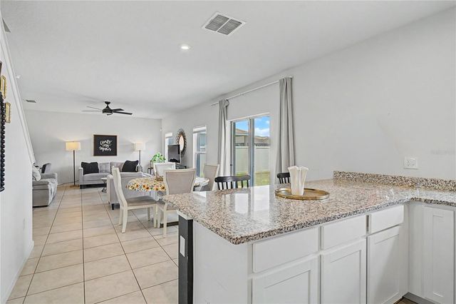 313 FIDDLEWOOD COURT, Davenport, FL 33837