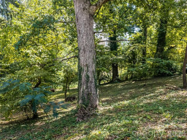 145 Kenilworth Road, Asheville, NC 28803