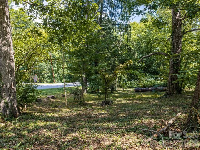 145 Kenilworth Road, Asheville, NC 28803