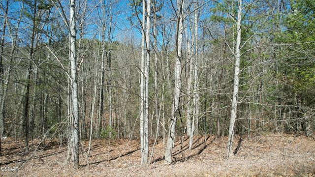 442 Hawken Drive, Walland, TN 37886