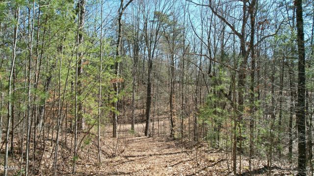 442 Hawken Drive, Walland, TN 37886
