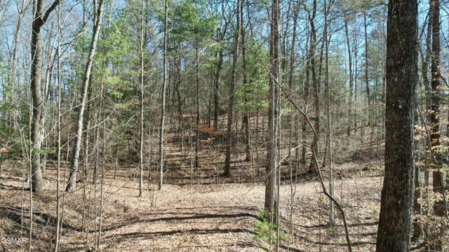 442 Hawken Drive, Walland, TN 37886