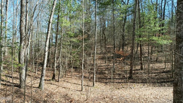 442 Hawken Drive, Walland, TN 37886