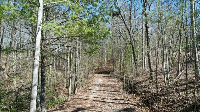 442 Hawken Drive, Walland, TN 37886