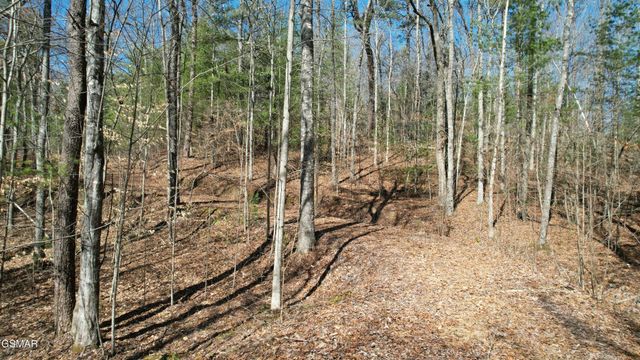 442 Hawken Drive, Walland, TN 37886