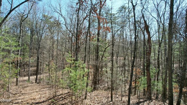 442 Hawken Drive, Walland, TN 37886