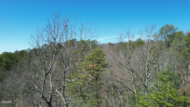 442 Hawken Drive, Walland, TN 37886