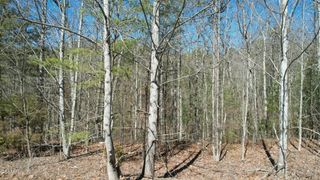 442 Hawken Drive, Walland, TN 37886