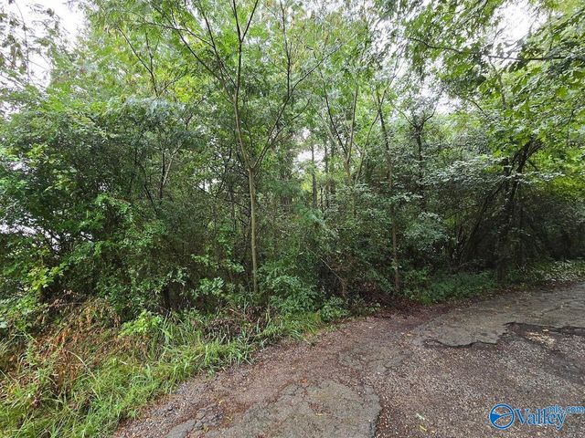 .77 acres Main Street, Altoona, AL 35952