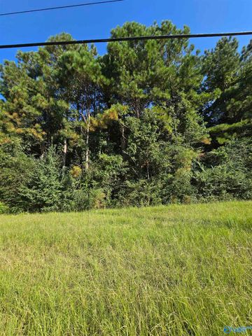 .77 acres Main Street, Altoona, AL 35952