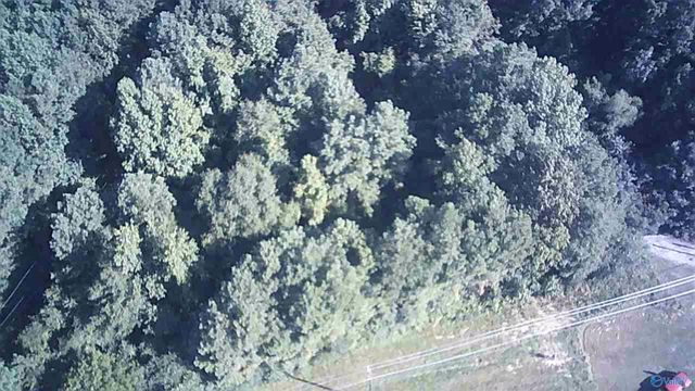 .77 acres Main Street, Altoona, AL 35952