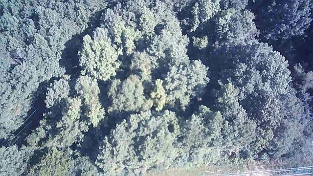 .77 acres Main Street, Altoona, AL 35952