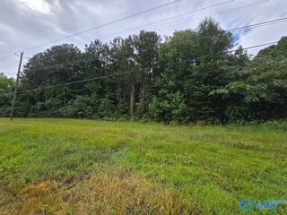 .77 acres Main Street, Altoona, AL 35952