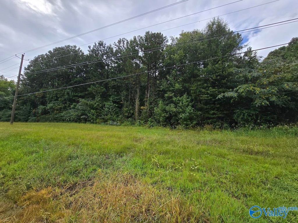 .77 acres Main Street, Altoona, AL 35952