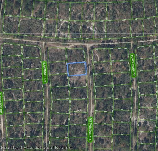 272 Sentimental Drive, Lake Placid, FL 33852