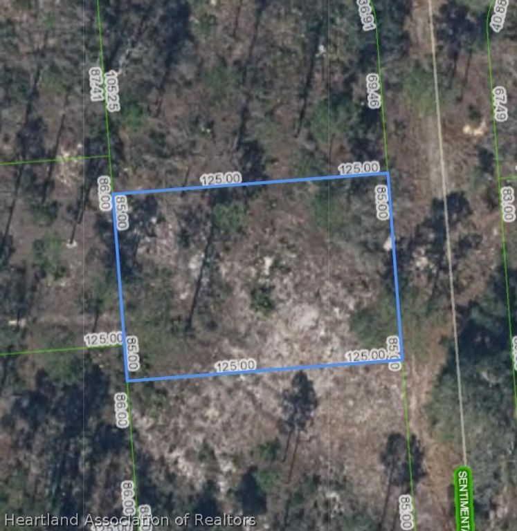 272 Sentimental Drive, Lake Placid, FL 33852