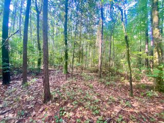 102 Kirby Creek Road, Wiggins, MS 39577