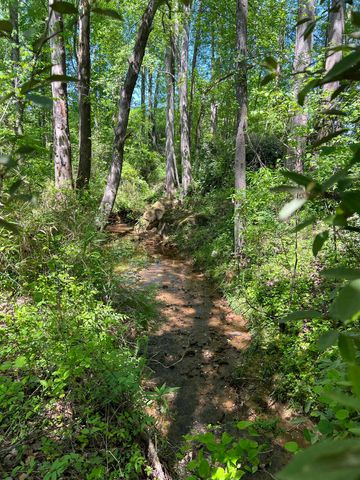 Lot 55 Lincoln Drive, Gaffney, SC 29341