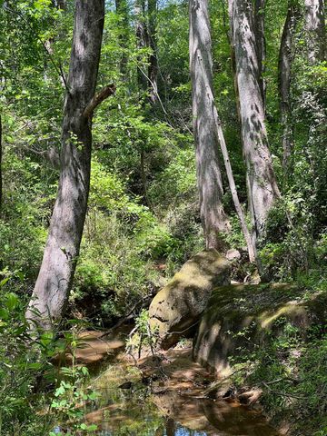 Lot 55 Lincoln Drive, Gaffney, SC 29341