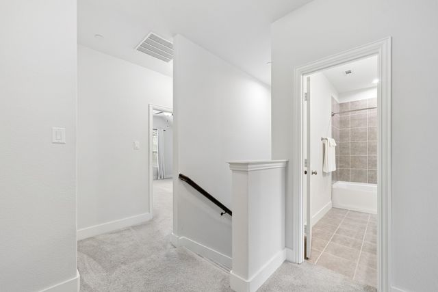 388 Jacob Lane, Fairview, TX 75069