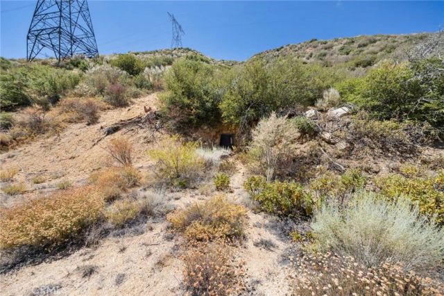 2 Aliso Canyon, Acton, CA 93510