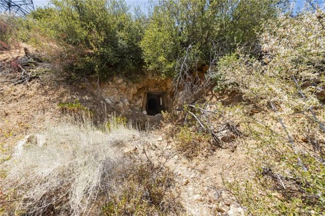2 Aliso Canyon, Acton, CA 93510