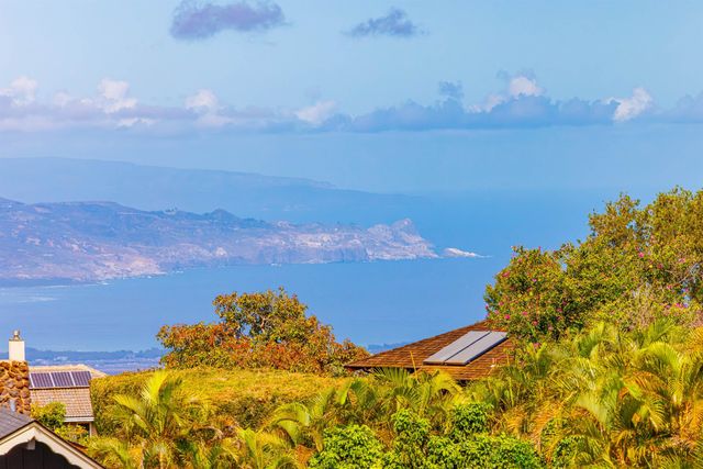 24 Kau St, Kula, HI 96790