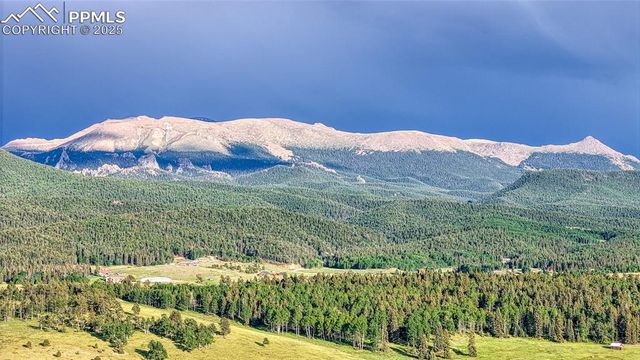 Lot 112 Will Scarlet Drive, Divide, CO 80814