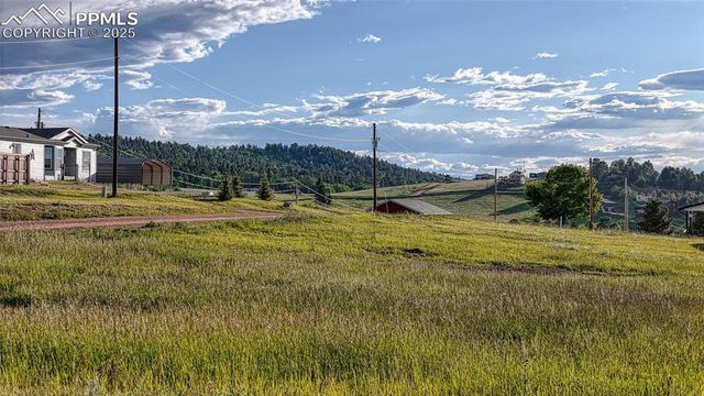 Lot 112 Will Scarlet Drive, Divide, CO 80814