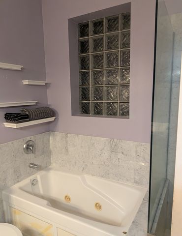 435 E 42nd Street 1, Chicago, IL 60653