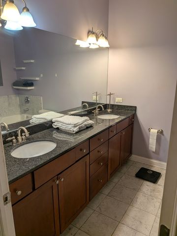 435 E 42nd Street 1, Chicago, IL 60653