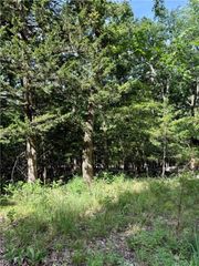 Lot 40 Pine Drive, Garfield, AR 72732