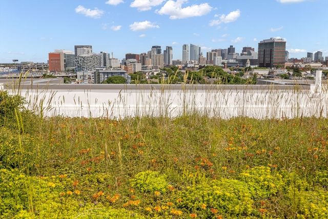 9 Medford 405, Somerville, MA 02143