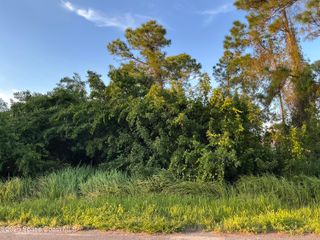 1325 Defender Street NW, Palm Bay, FL 32907