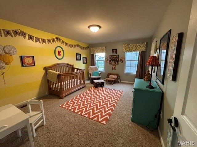 117 Fox Haven Drive, O'fallon, MO 63368